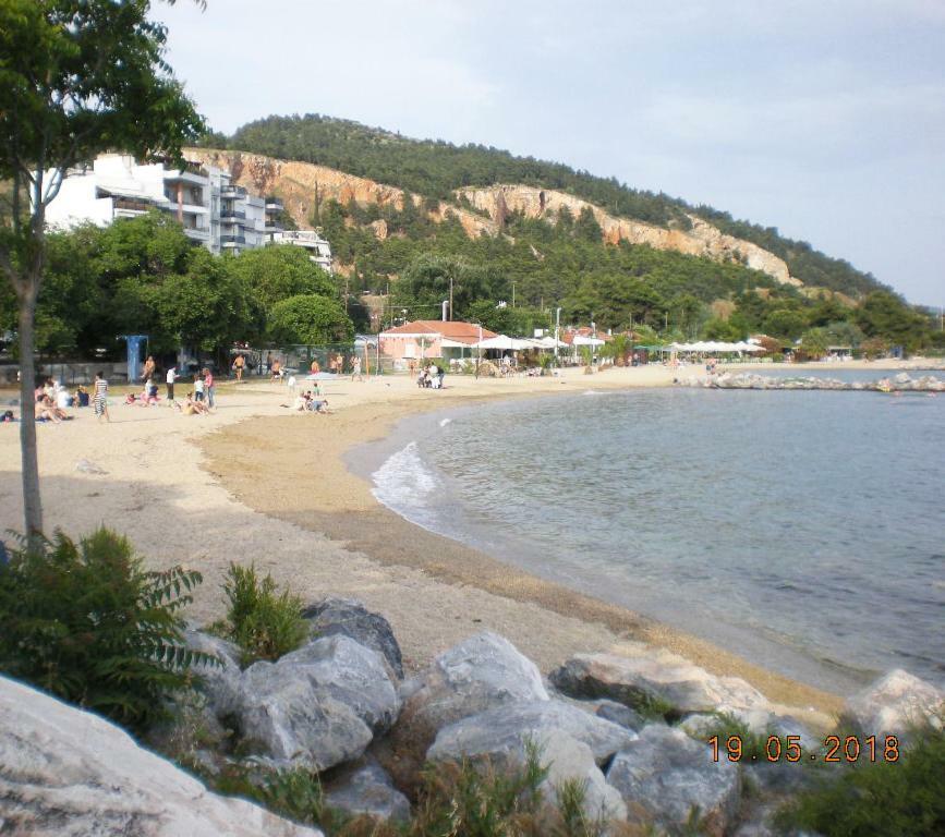 Aristi'S House Apartment Volos Exterior photo