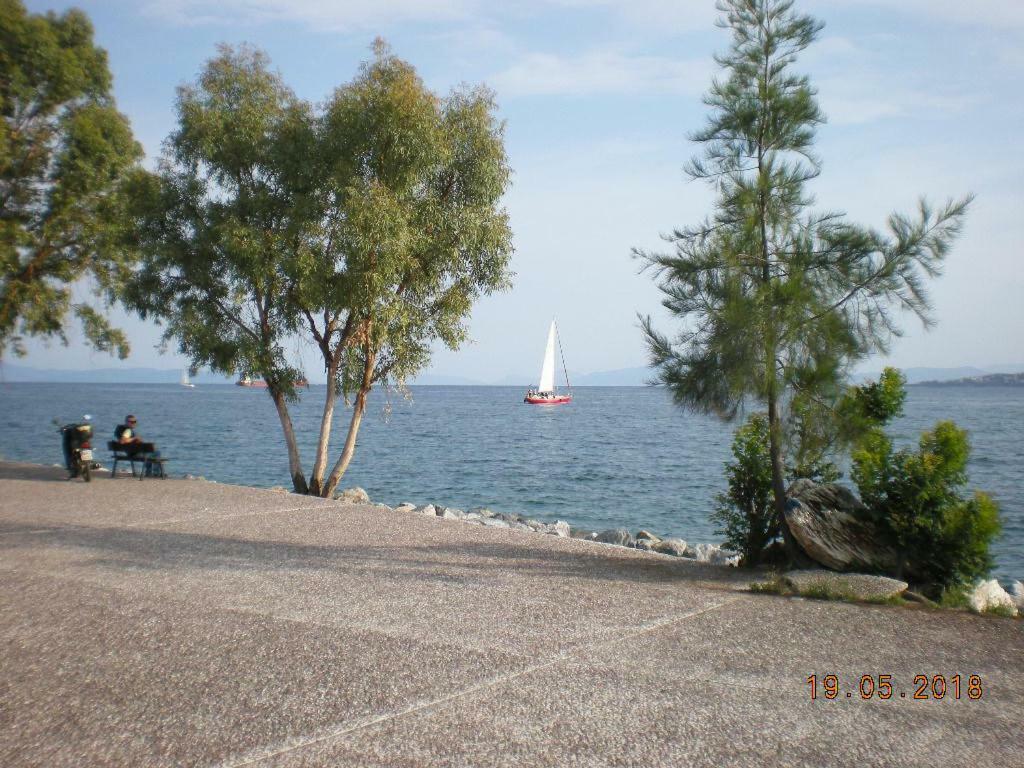 Aristi'S House Apartment Volos Exterior photo